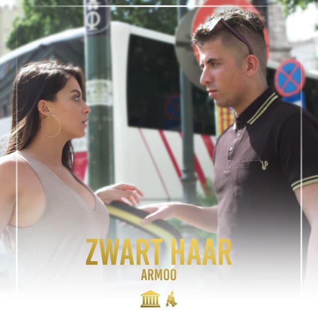 Zwart Haar