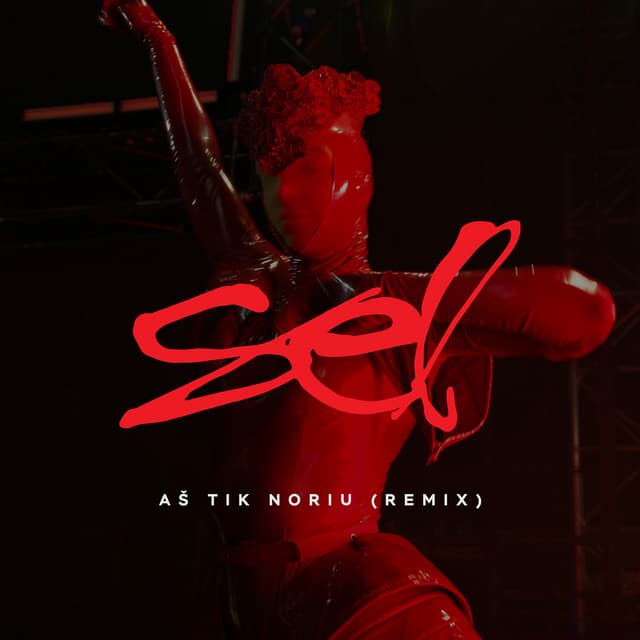 Aš Tik Noriu - Remix 2025