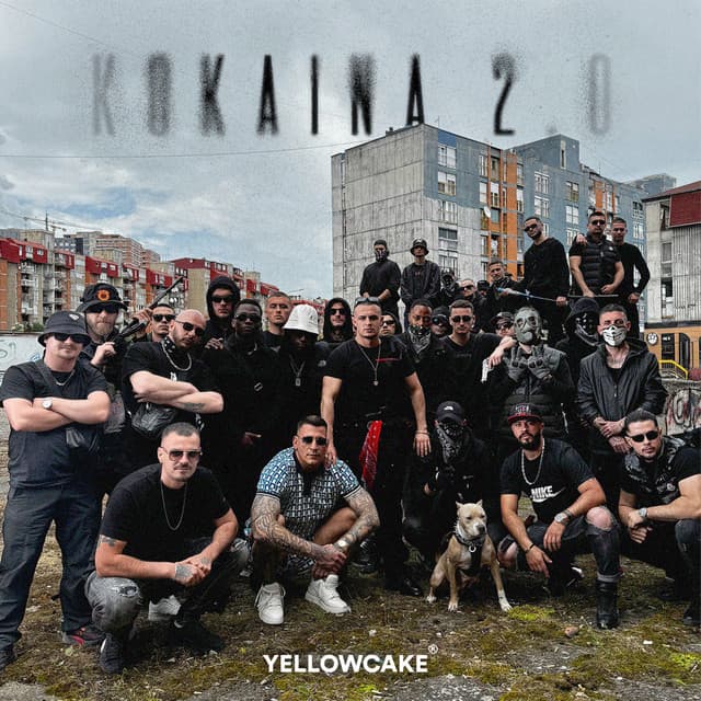 Kokaina 2.0