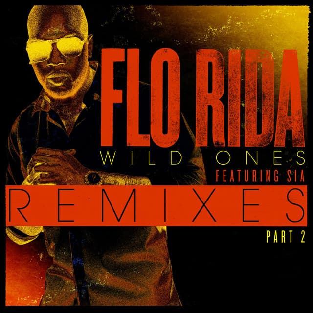 Wild Ones (feat. Sia) - Maison & Dragen Remix