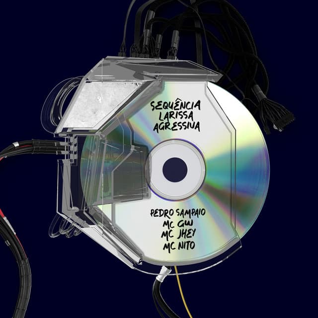 SEQUÊNCIA LARISSA AGRESSIVA