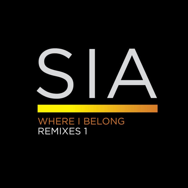 Where I Belong - Roni Size Remix