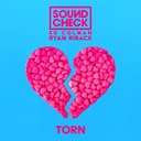 Torn (feat. Ryan Riback & Ed Colman)