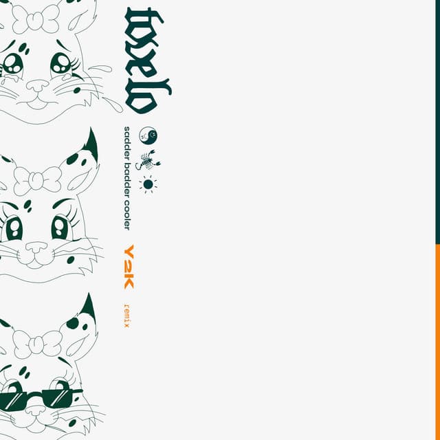 sadder badder cooler - Y2K Remix