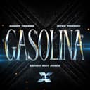 Gasolina (feat. Myke Towers) - Safari Riot Remix
