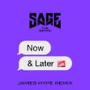 Now and Later - James Hype Remix