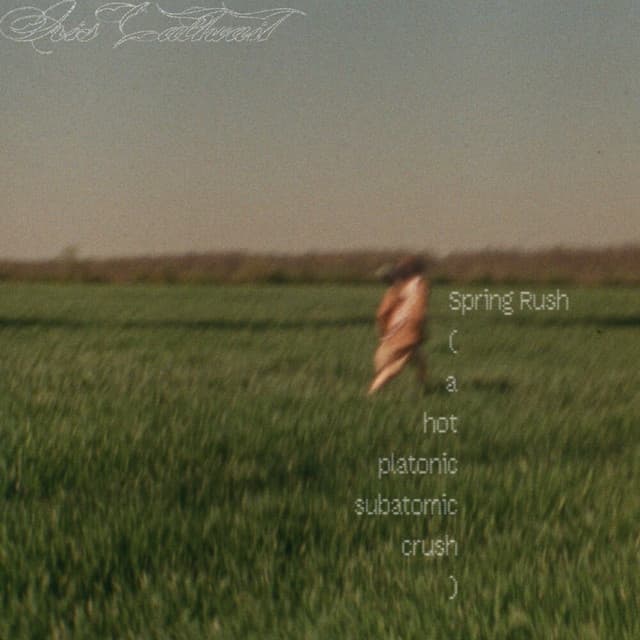 Spring Rush (a hot platonic subatomic crush)