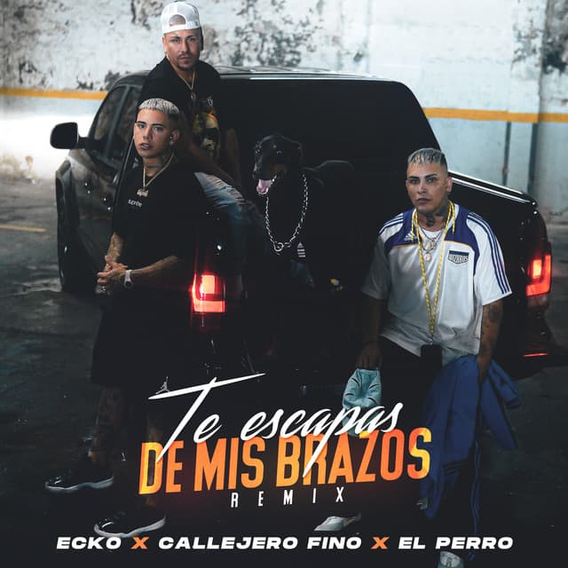 Te Escapas De Mis Brazos - Remix